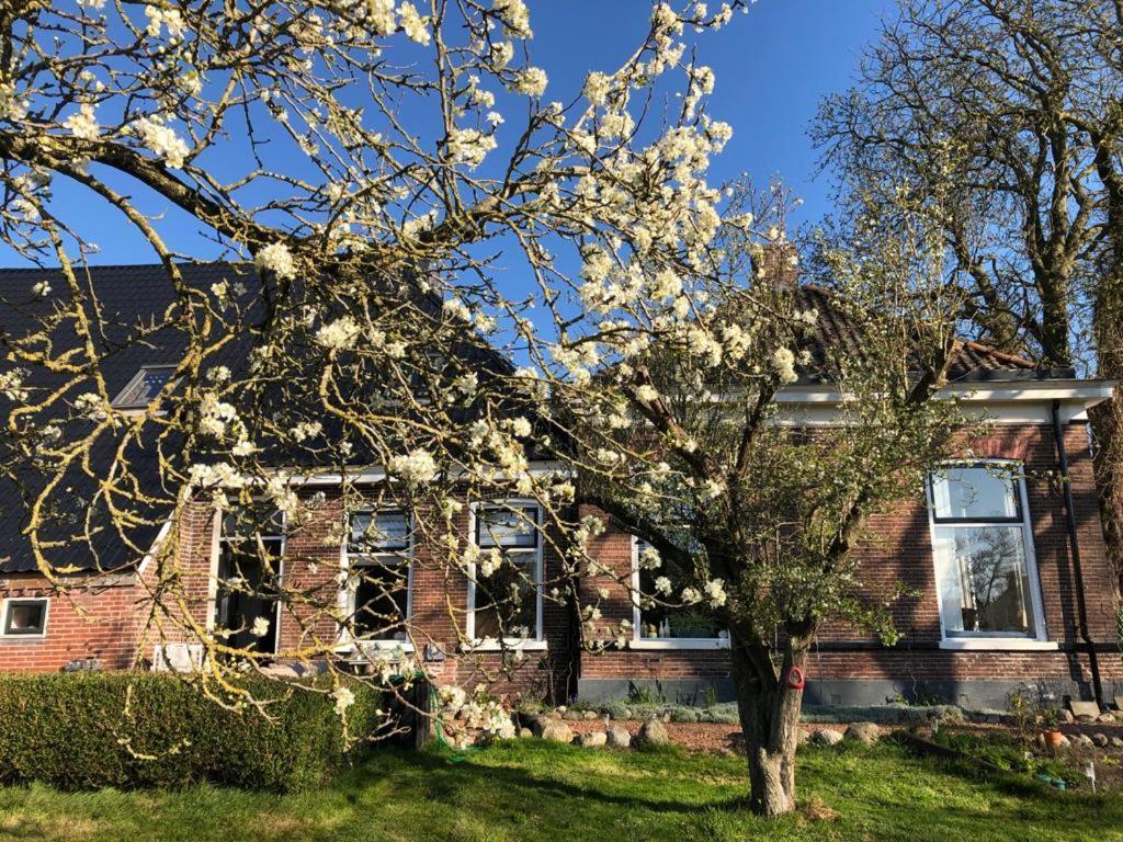 Bed and Breakfast Onder De Boom Gerkesklooster Exterior foto