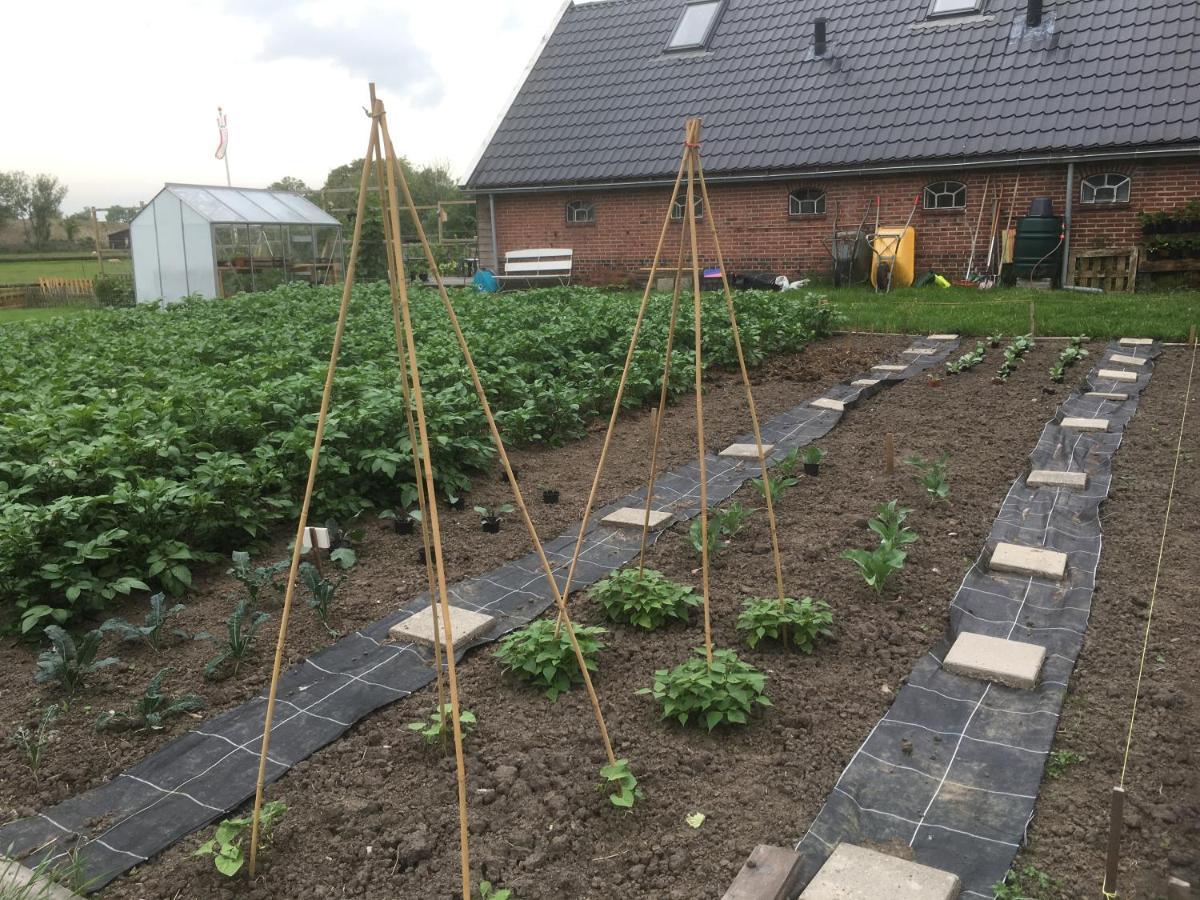 Bed and Breakfast Onder De Boom Gerkesklooster Exterior foto